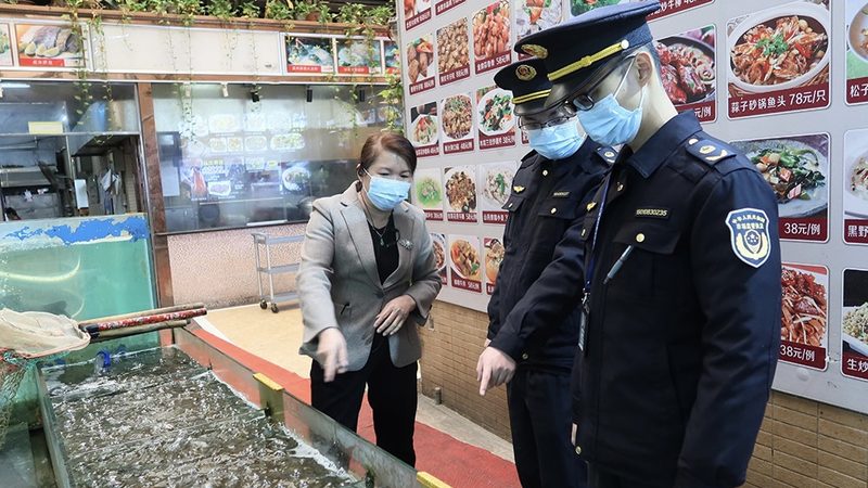 小型中央厨房设备：揭秘批发价格的背后因素