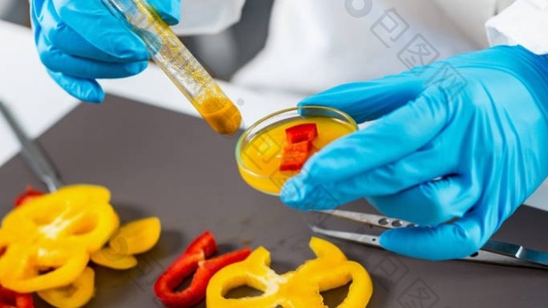 坚果炒货厂家直销哪家性价比高